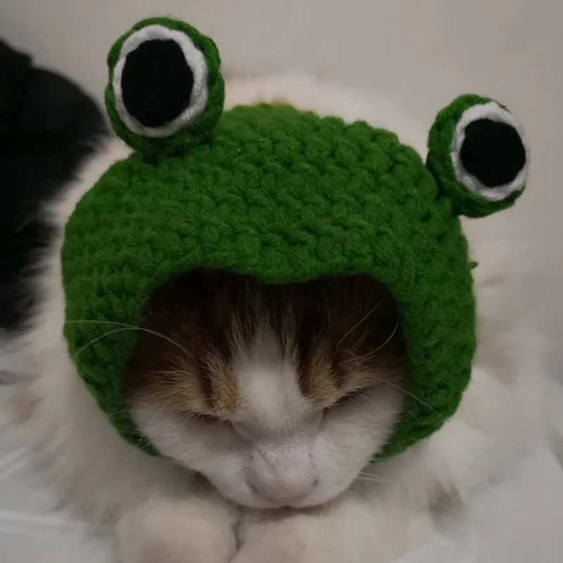 Knitted Frog Hat | Cat Costume