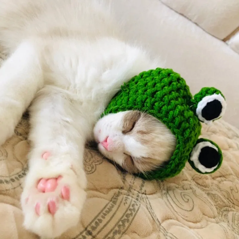 Knitted Frog Hat | Cat Costume